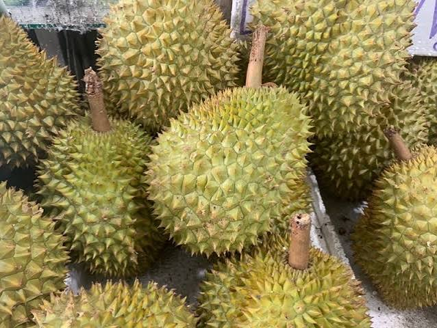 giá sầu riêng hôm nay