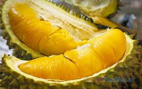 Mua Sầu Riêng Ri6 Đắk Lắk Thơm Ngon, Cơm Vàng Hạt Lép